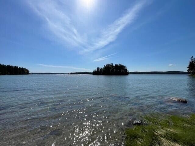 Land for sale in Harrington, Maine