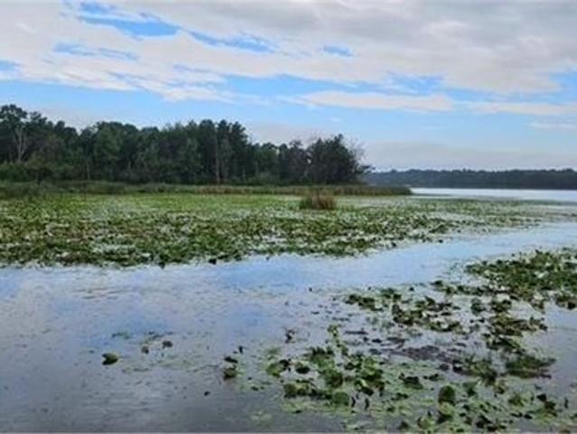Land for sale in Baxter, Minnesota