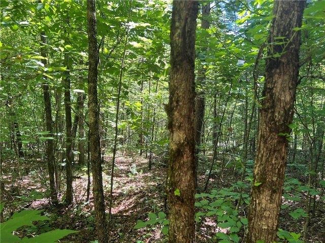 Land for sale in Ball Ground, Georgia