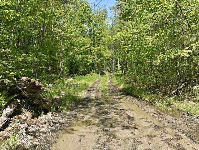 Land for sale in New Hampshire