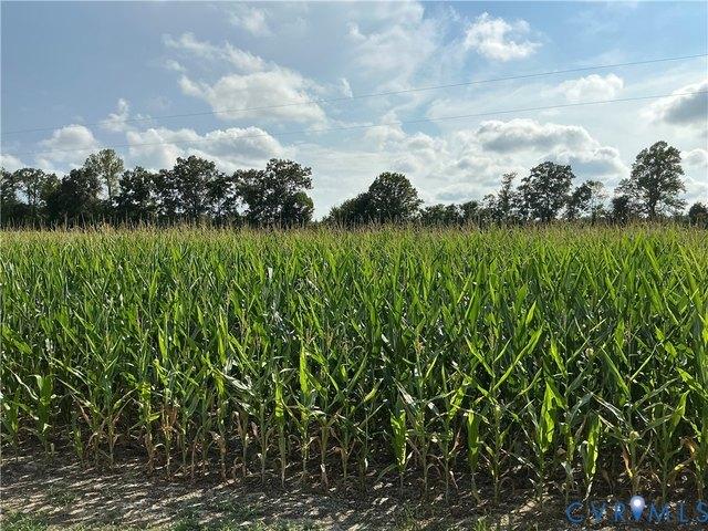 Land for sale in Virginia