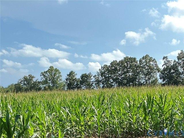 Land for sale in Virginia