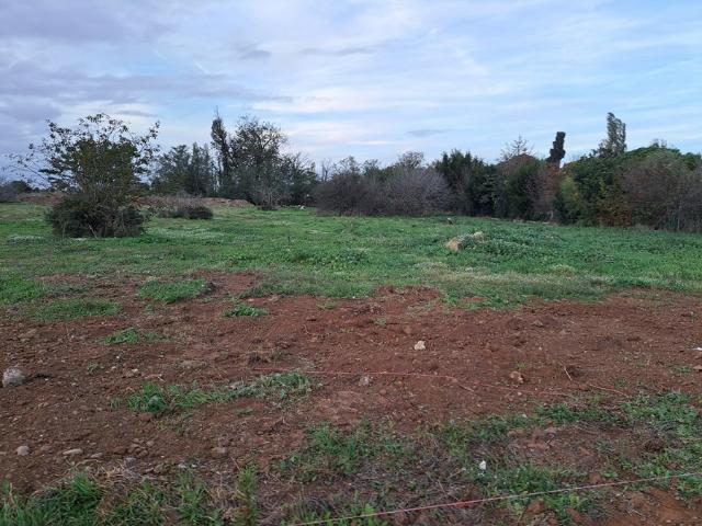 Terrain vente à Istres, Fos-sur-mer