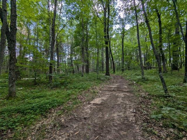 Land for sale in Webster, Wisconsin