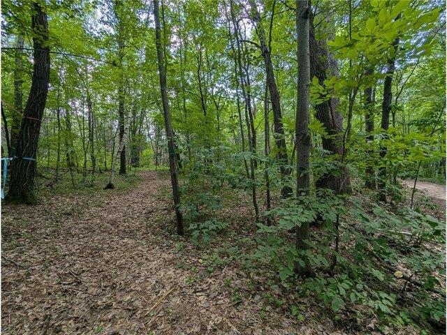 Land for sale in Webster, Wisconsin