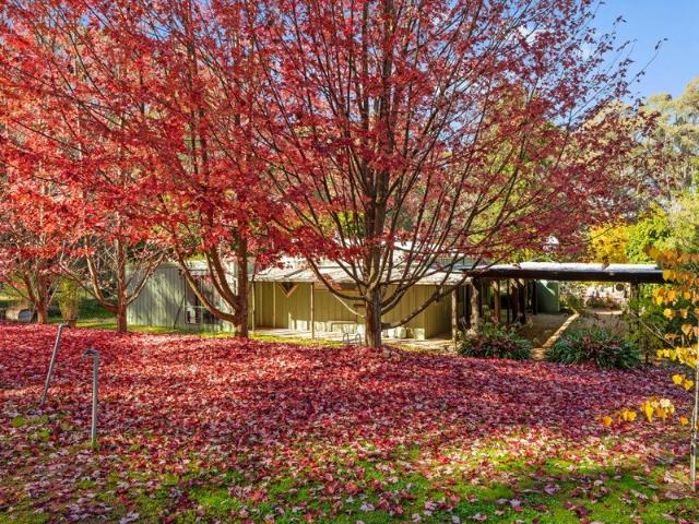 Cottage for sale in Strathbogie, Victoria