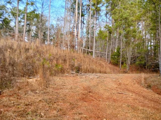 Land for sale in Lineville, Alabama
