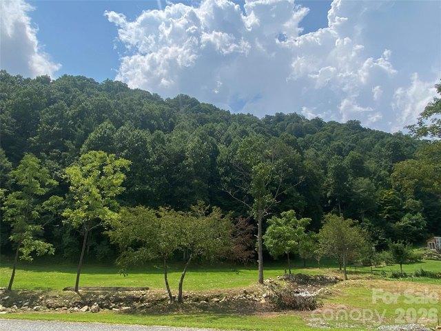 Land for sale in Marshall, North Carolina