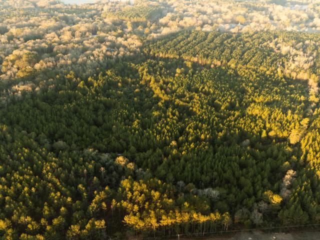 Land for sale in Seminary, Mississippi
