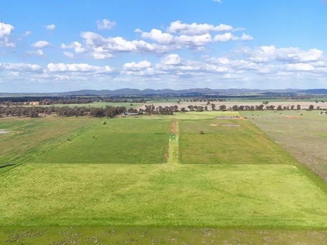Cottage for sale in Narromine, Narromine Shire Council