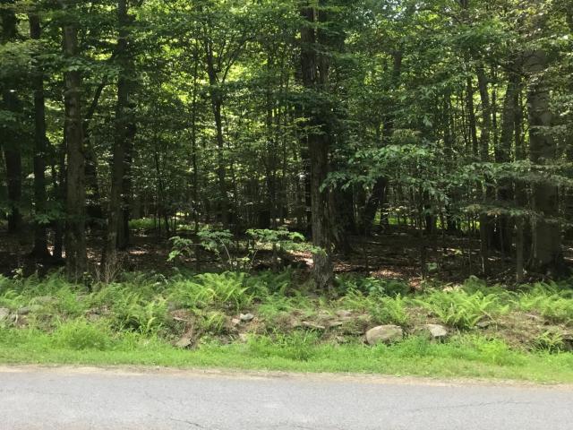 Land for sale in Newfoundland, Pennsylvania