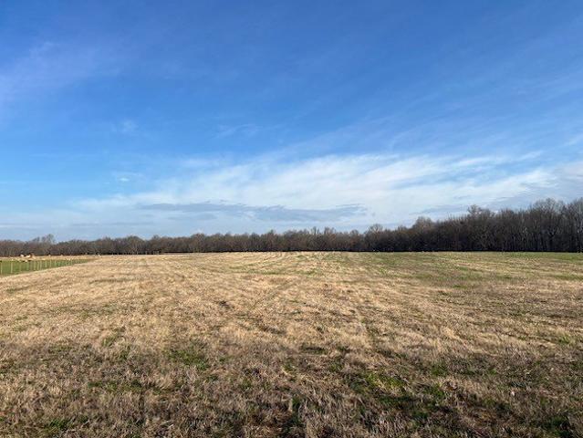 Land for sale in Tennessee