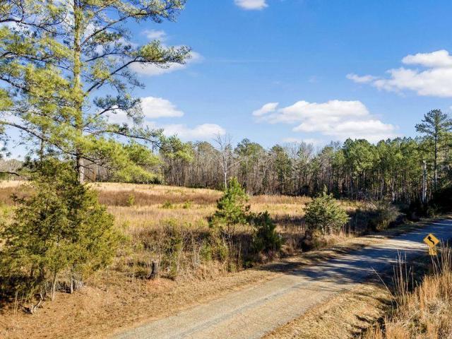 Land for sale in Fountain Inn, South Carolina