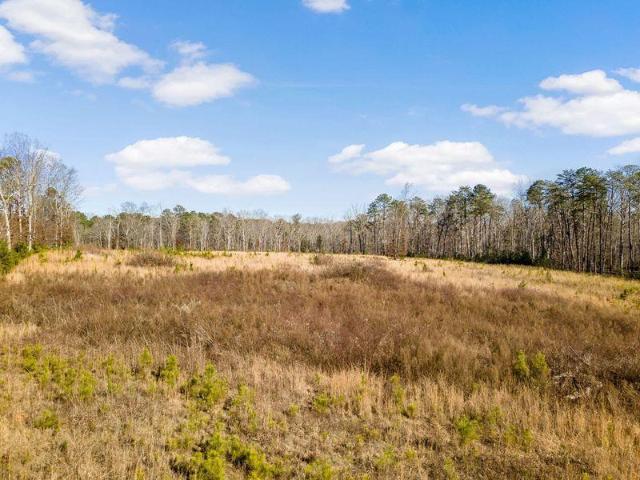 Land for sale in Fountain Inn, South Carolina