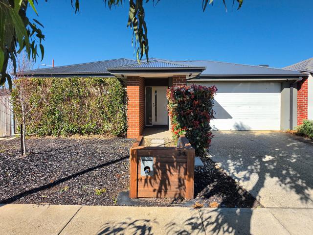 House for rent in Geelong, Victoria