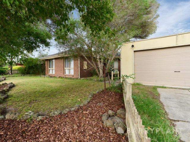 House for rent in Camerons Creek, Victoria