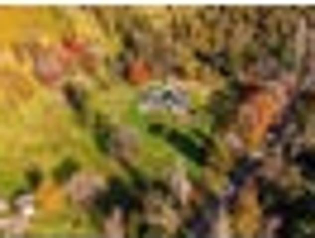 House for sale in Rangitikei District