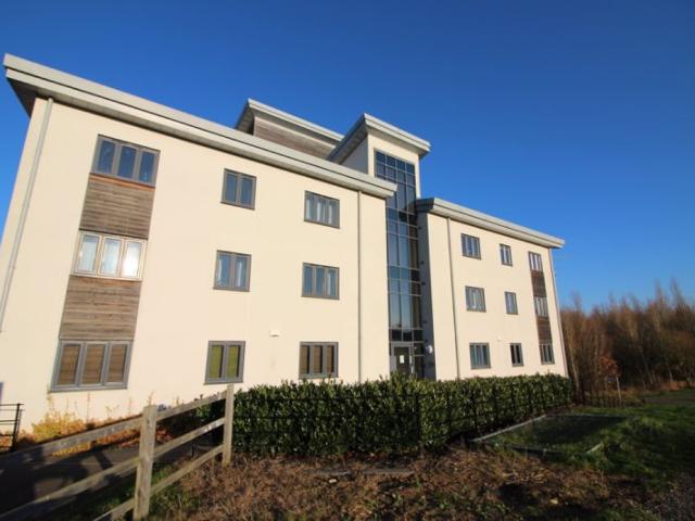 Apartment for rent in Hampton Hargate, Peterborough