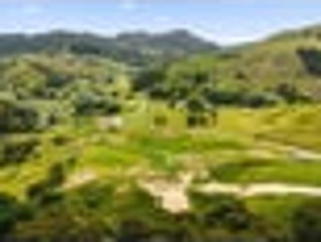 Land for sale in East Coast