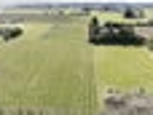 Land for sale in Tasman