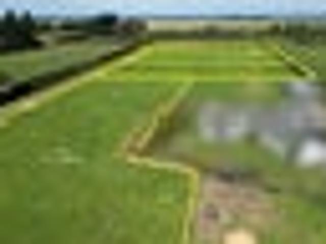 Land for sale in Hakatere, Canterbury