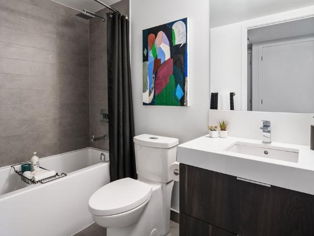 Apartment for rent in Spadina—Fort York, Toronto