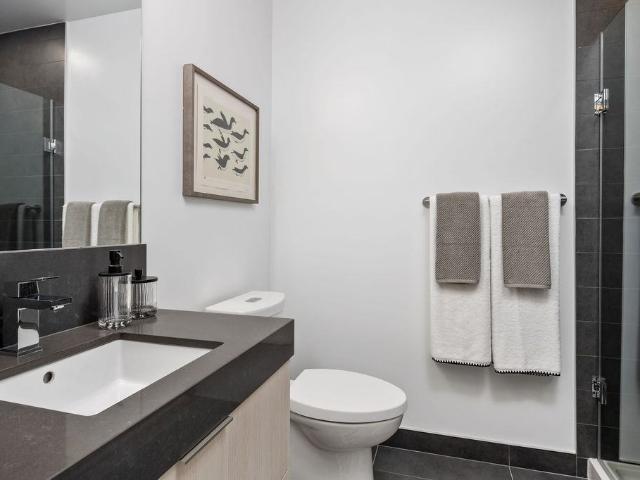Apartment for rent in Spadina—Fort York, Toronto