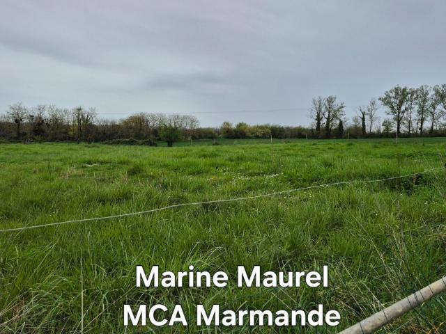 Terrain vente à Fourques-sur-garonne