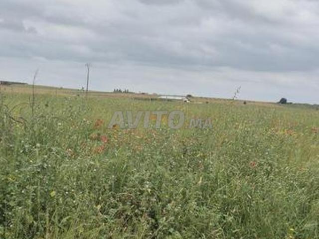 Propriété vente à Khémisset