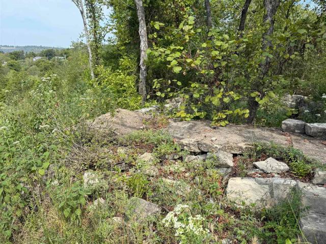Land for sale in Norfork, Baxter County