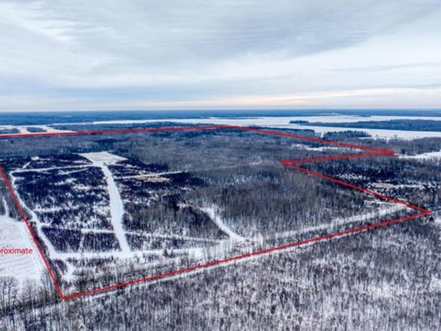 Land for sale in Grygla, Minnesota