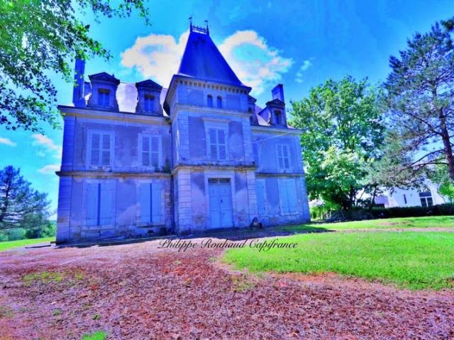 Château vente à Fontenay-le-Comte, Foussais-payré