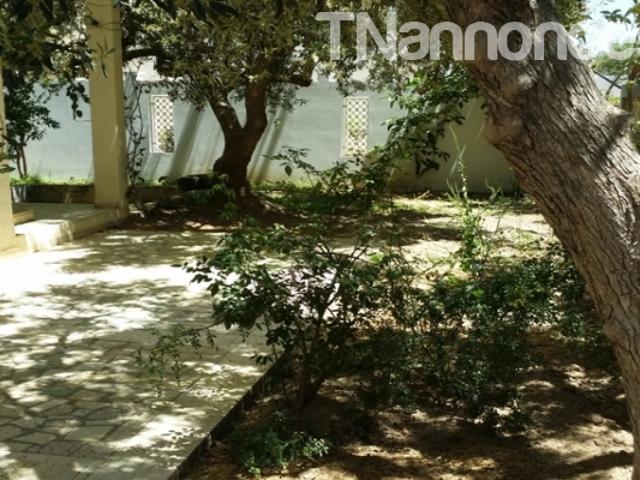 Appartement vente