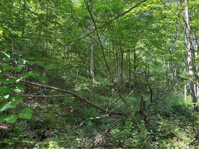 Land for sale in Indian Head, Pennsylvania