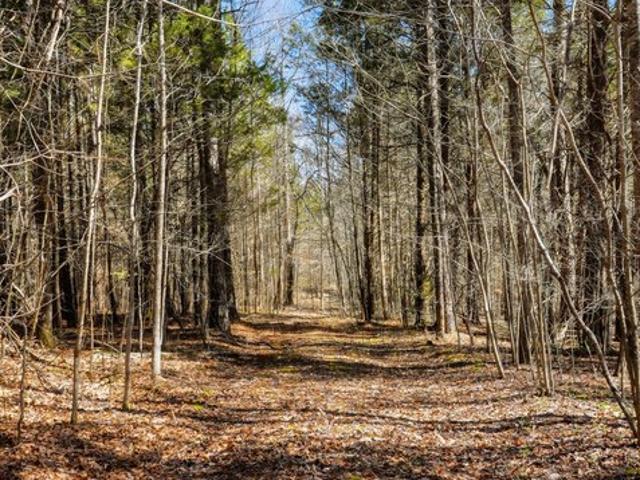 Farm for sale in Tennessee