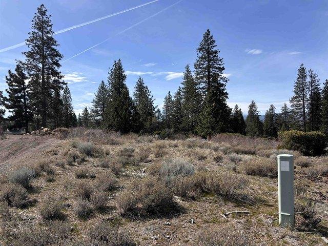 Land for sale in Weed, California