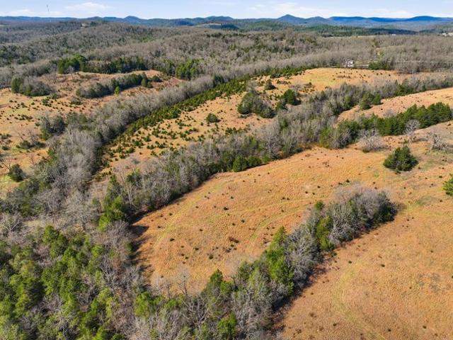 Land for sale in Gainesville, Missouri