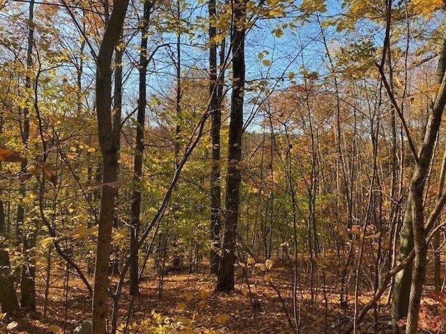 Land for sale in Bernardston, Massachusetts