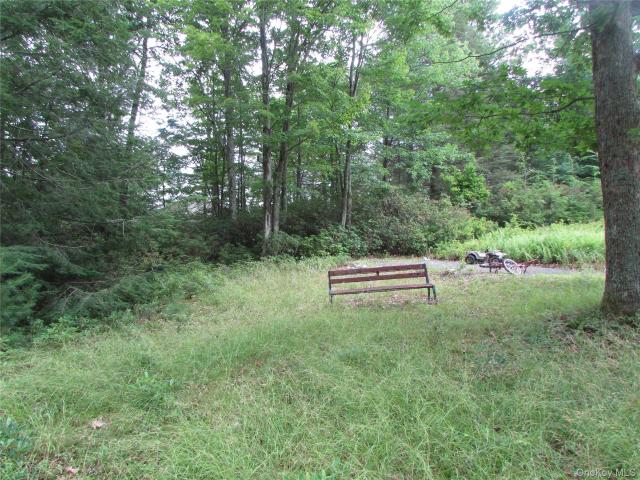 Land for sale in Mountain Dale, Town of Fallsburg