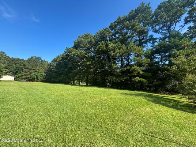 Land for sale in Mccomb, Mississippi