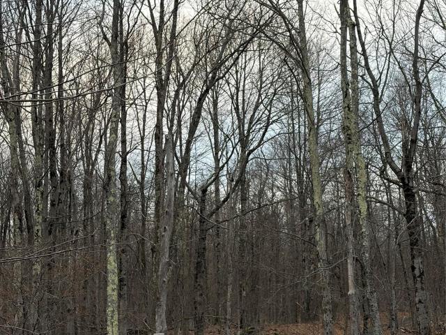 Land for sale in Roscoe, New York