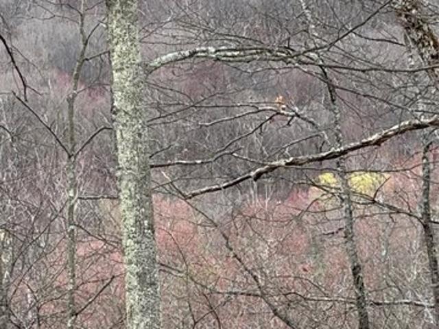 Land for sale in Roscoe, New York
