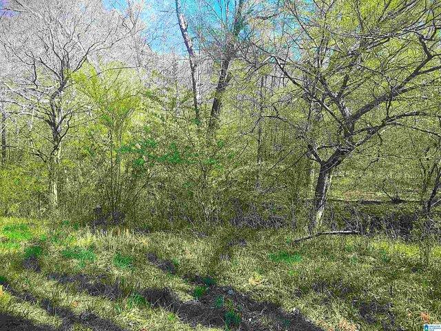 Land for sale in Blount, Alabama