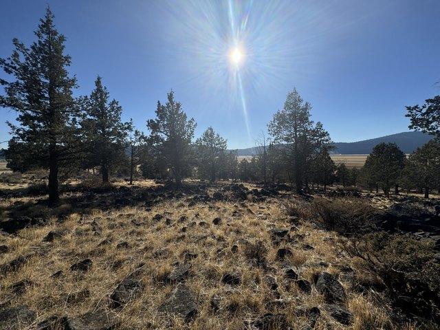 House for rent in Oregonia