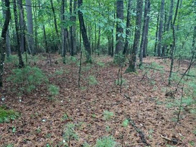 Land for sale in Virginia