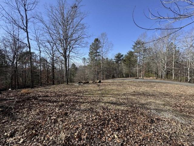Land for sale in Old Fort, North Carolina
