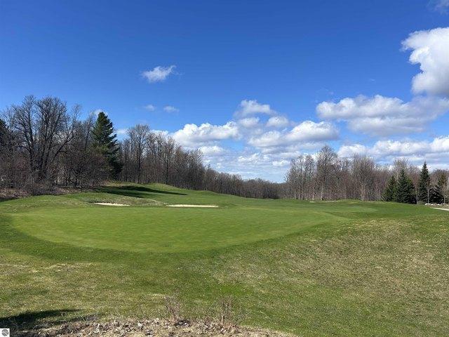 Land for sale in Bellaire, Michigan