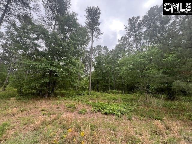 Land for sale in Aiken, South Carolina