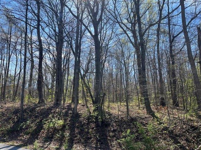 Land for sale in Virginia