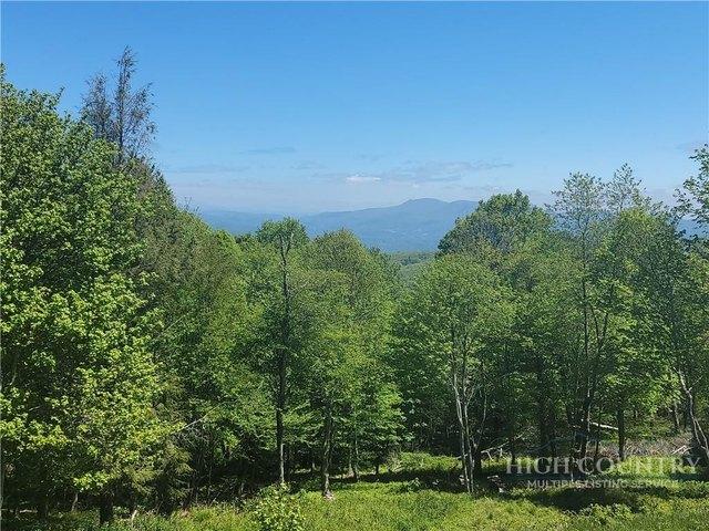 Land for sale in Avery, North Carolina